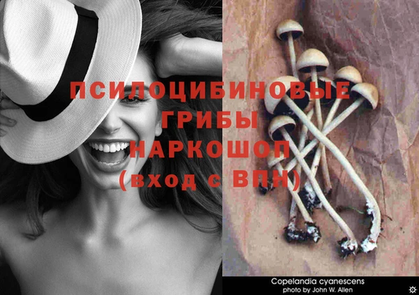 твердый Абинск